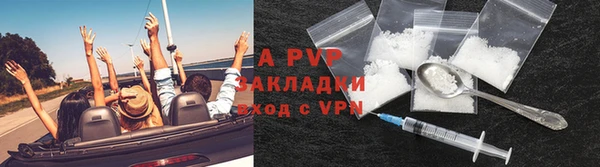 твердый Няндома