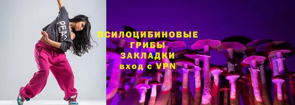 твердый Няндома