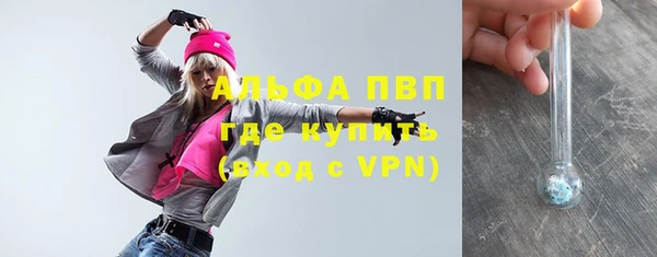 твердый Няндома