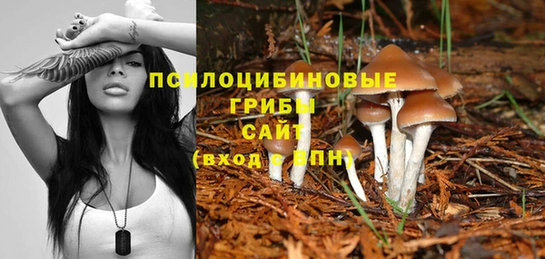 каннабис Осинники
