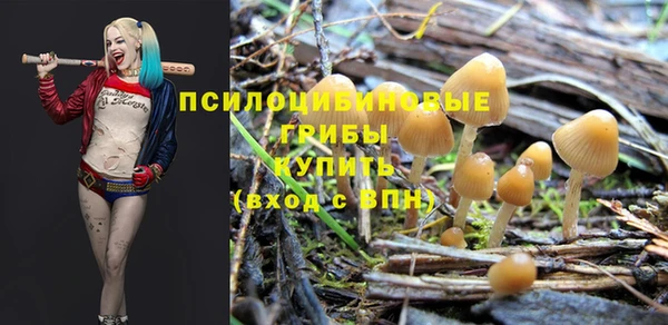 дживик Остров