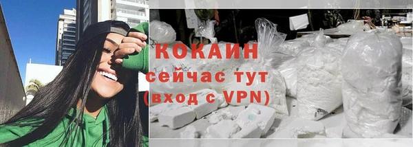 твердый Няндома