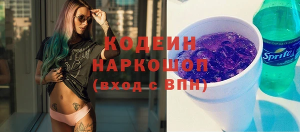 твердый Няндома