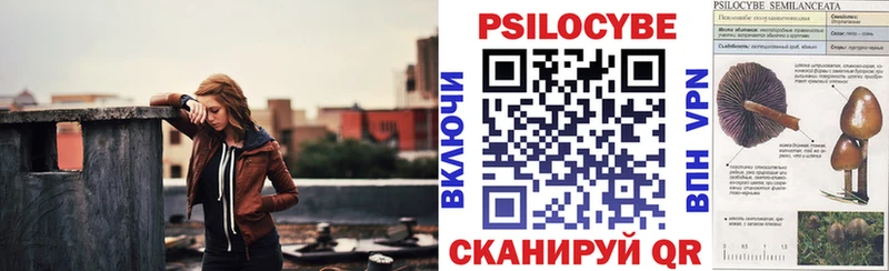 МЕГА сайт  Владикавказ  Псилоцибиновые грибы Psilocybine cubensis 